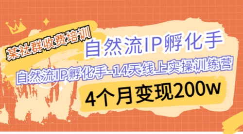 【副业项目7109期】自然流IP孵化手-14天线上实操训练营 4个月变现200w缩略图 【副业项目7109期】自然流IP孵化手-14天线上实操训练营 4个月变现200w缩略图